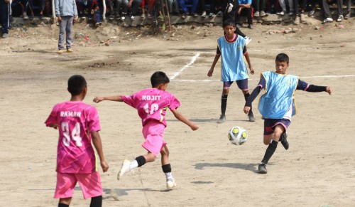 अर्किड कपमा ग्रिनविच विजयी